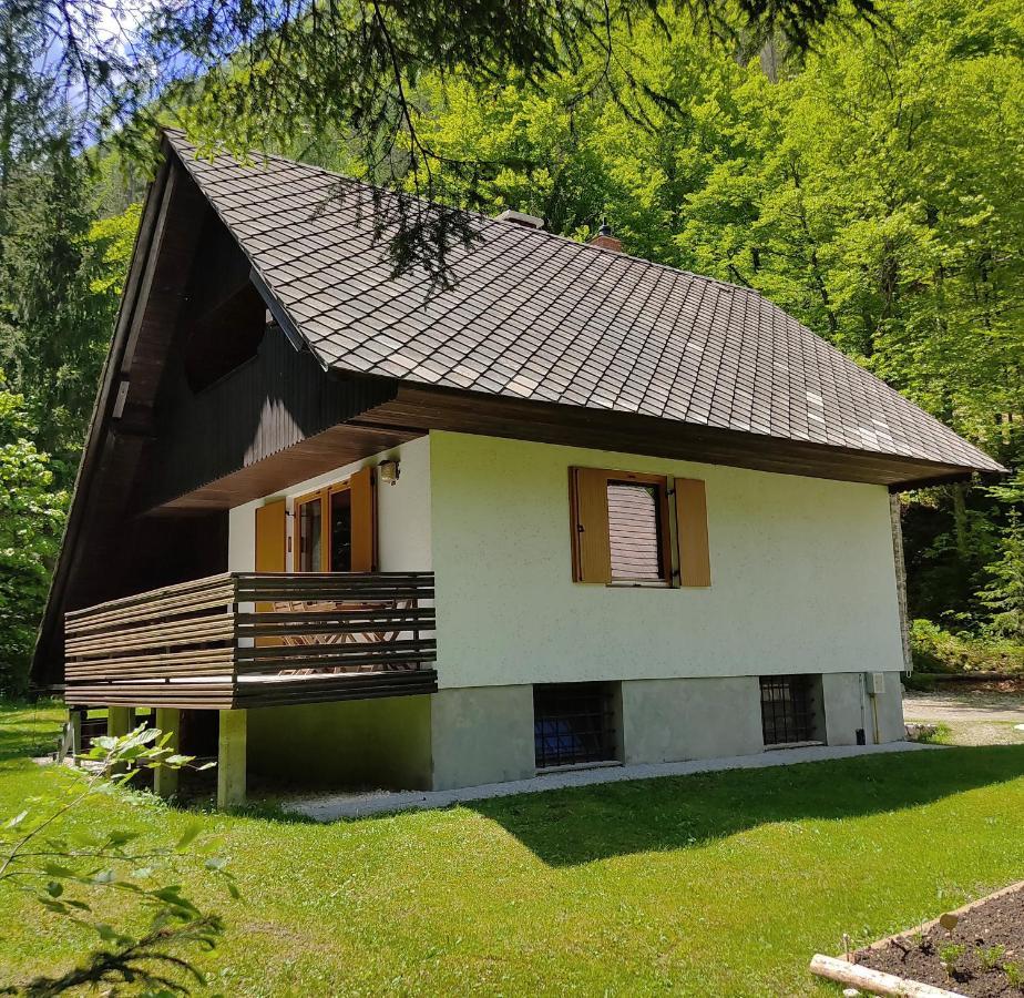 Chalet Via Mons Mojstrana Kültér fotó